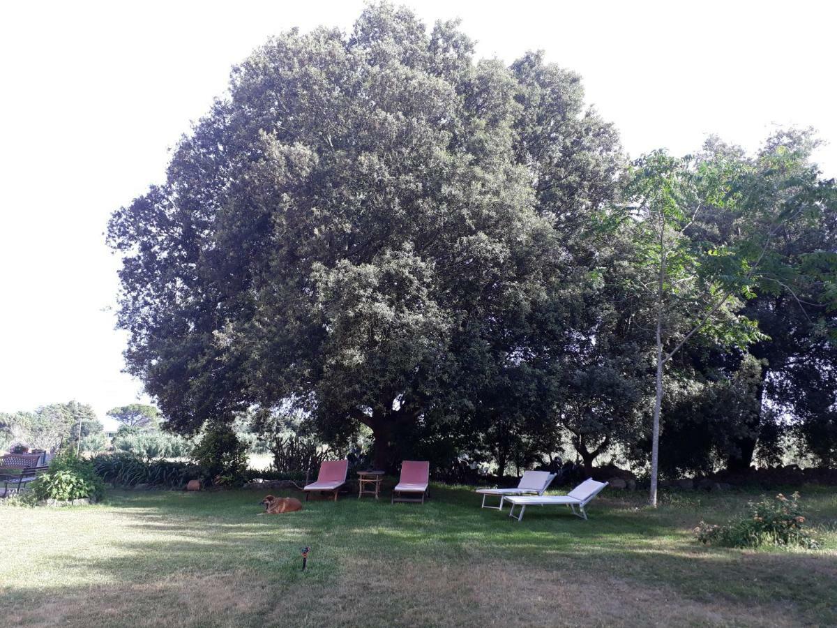 Tenuta Argiano Mesagne Exteriör bild