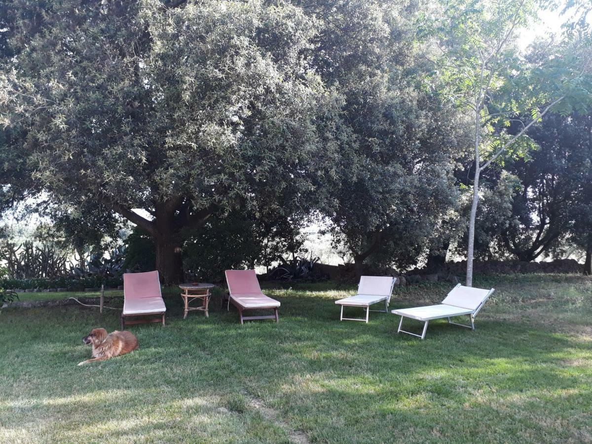 Tenuta Argiano Mesagne Exteriör bild